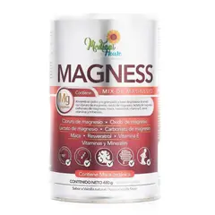 GENERICO - Magnesio Medical House Polvo X 480g