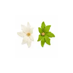 ZYRAL - Aretes Para Dama Multicolor Marca ZARC03-06