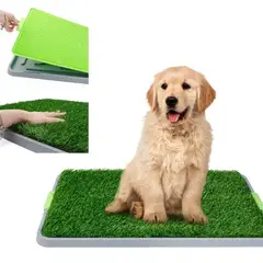 GENERICO - Tapete Baño Entrenamiento para Perros Gatos Ecológico 42x67cm