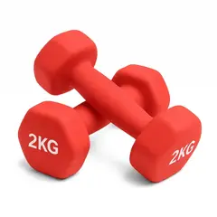 GENERICO - Mancuernas para Entrenamiento de Fuerza x2
