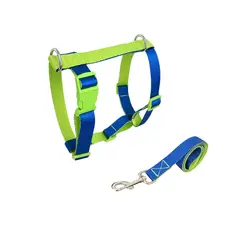 GENERICO - Arnés en H para perro Talla L, incluye Correa, Antiescape, antitirones Verde Azul