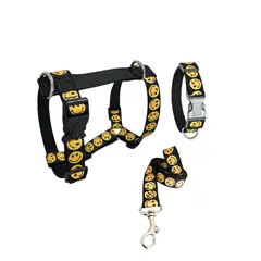 GENERICO - Combo Arnes en H, collar y correa Talla S, Antiescape, Antitirones Caritas