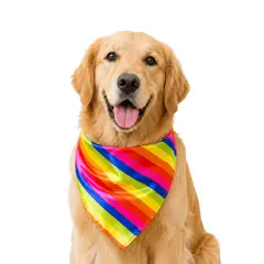 GENERICO - Pañoleta para perrogato Talla S estilo Arcoiris Liviana, antifluido