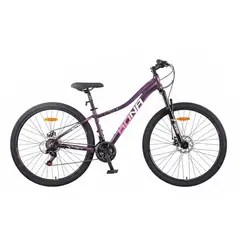 ROCA - Bicicleta Aluminio Bona Tesla Rin 29