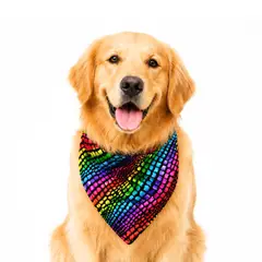 GENERICO - Pañoleta para perrogato Talla L estilo Multicolor Liviana, antifluido