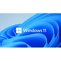 MICROSOFT - WINDOWS 11 PRO 1 PC