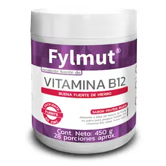 FYLMUT - VITAMINA B12 SABOR FRUTOS ROJOS 450G