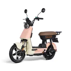HUYSER - Bicicleta Electrica Paris de Batería Extraíble 48v-20Ah