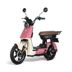 HUYSER - Bicicleta Electrica Paris de Batería Extraíble 48v-20Ah