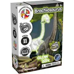 SCIENCE4YOU - Kit Excavación Brachiosaurus Brilla en la Oscuridad
