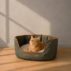 OCEAN BLUE HOME - Nido Pets Patagonia Oliva 50 cm