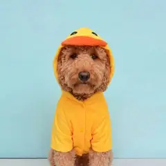 WAWAW - Saco 4XL pato Halloween 2026