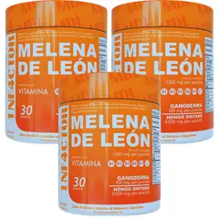 INTERLIGHT - Melena de Leon x 450g - Bienestar Emocional x3