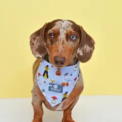 WAWAW - Pañoleta L lila perritos y fantasmas Halloween 2026