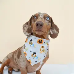 WAWAW - Pañoleta S crema perritos calabazas Halloween 2026