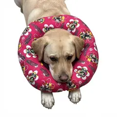 GENERICO - COLLAR ISABELINO TIPO DONA - PERRO Y GATO - TALLA 2 XL