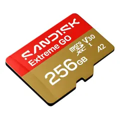 SANDISK - Tarjeta De Memoria Extreme Go 256gb 240mb4k Microsd