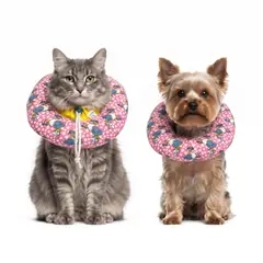 GENERICO - COLLAR ISABELINO TIPO DONA - PERRO Y GATO - TALLA S