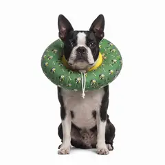 GENERICO - COLLAR ISABELINO TIPO DONA - PERRO Y GATO - TALLA XL
