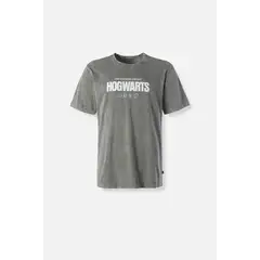 WARNER BROS - CAMISETA DE HARRY POTTER GRIS REGULAR FIT PARA HOMBRE
