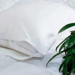 MANO DE OSO - Funda de Almohada Algodón 50 x 70 cm Jersey