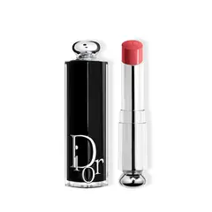 DIOR - Labial Dior Addict