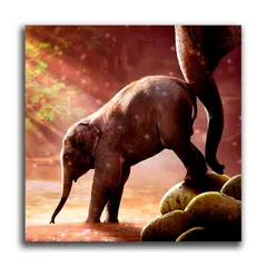 MICA - Cuadro Poliéster Elefante L