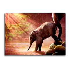 MICA - Cuadro Poliéster Elefante Xl