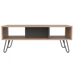 RTA MUEBLES - Mesa de Centro Moderna Rectangular en Aglomerado MDP 101 x 40 x 45 cm RTA Design - Mueble