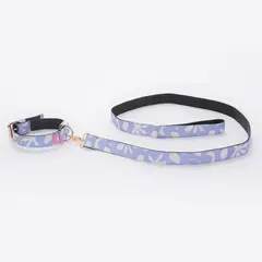 undefined - Collar + Correa para Perro
