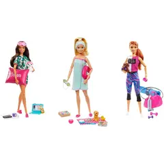 BARBIE - Días de Spa surtido, incluye accesorios y mascota
