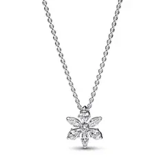 PANDORA - Collar Herbario Brillante Plata Esterlina