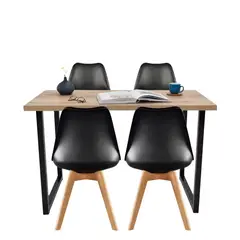 EKONOMODO - Juego de Comedor Moderno para 4 Personas (Comedor + 4 Sillas)