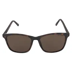 TOMMY HILFIGER - Gafas de Sol Hombre X62081 Outlook . Gafas de sol Policarbonato Marrón