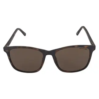 TOMMY HILFIGER - Gafas de Sol Hombre X62081 Outlook . Gafas de sol Policarbonato Marrón