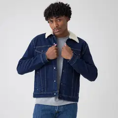 LEVIS - Chaqueta de jean Hombre de Algodón