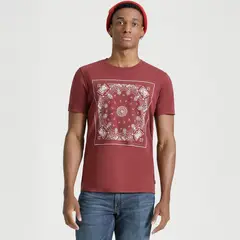 LEVIS - Camiseta Hombre Con Estampado Recto de Algodón