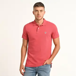 AMERICAN EAGLE - Camiseta polo Hombre Manga corta de Algodón