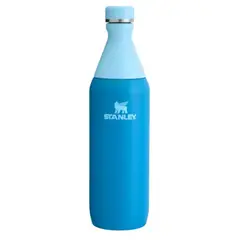 STANLEY - Termos Acero inoxidable 0,591 lt