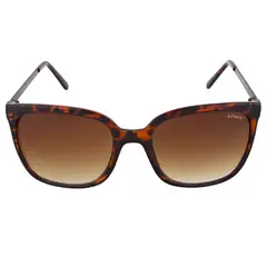 LEVIS - Gafas de Sol Mujer X13007 Outlook. Gafas de sol Clásico Marrón