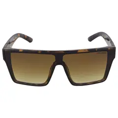 STEVE MADDEN - Gafas de Sol Hombre X17111 Outlook. Gafas de sol Clásico Marrón