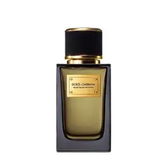 DOLCE&GABBANA - Perfume Unisex Velvet Black Patchouli 100 ml Eau de parfum