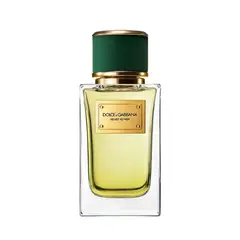 DOLCE&GABBANA - Perfume Unisex Velvet Vetiver 100 ml Eau de parfum