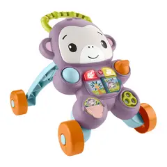 FISHER PRICE - Juguete de bebé Fisher-Price: Andadera para Bebés Mono