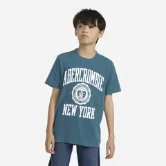 ABERCROMBIE - Camiseta para Niño Manga corta