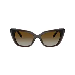 SWAROVSKI - Gafas De Sol Transparent Brown Polar Brown Gradient