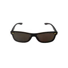 STEVE MADDEN - Gafas de sol Steven Madde Hombre X17783 . Gafas de sol Policarbonato Marrón