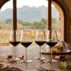 RCR - Copa Vino Universum Setx4