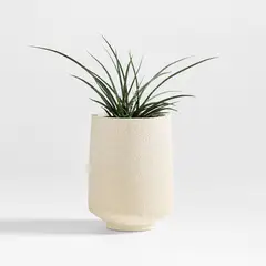 CRATE & BARREL - Maceta Havana en Piedra 41 cm x 31 cm