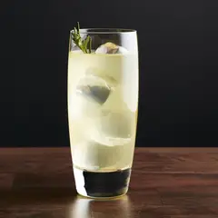 CRATE & BARREL - Vaso Alto Otis en Vidrio 444 ml